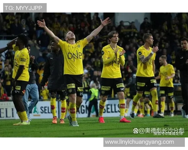 澳大利亚与挪威精彩对决集锦回顾赛场瞬间尽显足球魅力与激情