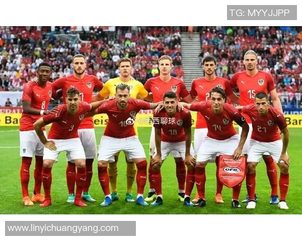 波黑与奥地利足球对决阵容分析及比赛前瞻 波黑与奥地利足球对决阵容分析及比赛前瞻