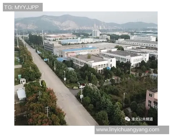 佛山公共频道全新升级打造市民生活服务新平台与文化传播新窗口 佛山公共频道全新升级打造市民生活服务新平台与文化传播新窗口