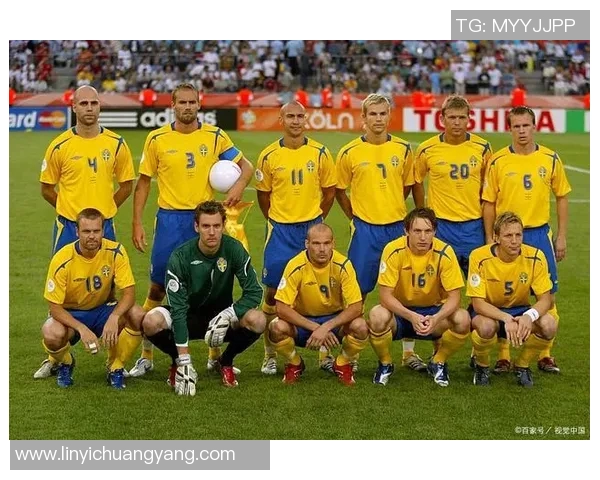 葡萄牙与瑞典精彩对决高清回放及赛后分析