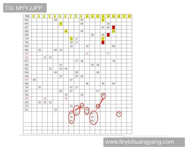 揭秘3D两码必中组合的秘密技巧与实战经验分享